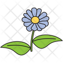 پیش‌نمایش فایل daisy-1450266 از پک خط‌خطی‌های تابستانی برداری