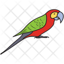 پیش‌نمایش فایل parrot-1450271 از پک خط‌خطی‌های تابستانی برداری