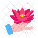 پیش‌نمایش فایل lotus-flower-11456368 از پک مدیتیشن