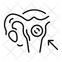 پیش‌نمایش فایل blighted-ovum-11447371 از پک زنان باردار