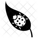 پیش‌نمایش فایل leave-insect-1469227 از پک کشاورزی ارگانیک