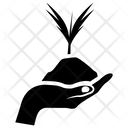 پیش‌نمایش فایل plant-in-hand-1469279 از پک کشاورزی ارگانیک