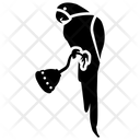 پیش‌نمایش فایل pirate-parrot-1479910 از پک دزدان دریایی
