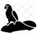 پیش‌نمایش فایل pirate-parrot-1479917 از پک دزدان دریایی