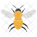 پیش‌نمایش فایل bee-1481719 از پک حیوانات خانگی