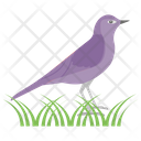 پیش‌نمایش فایل bird-1481675 از پک حیوانات خانگی