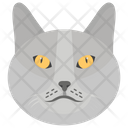 پیش‌نمایش فایل cat-1481609 از پک حیوانات خانگی