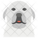 پیش‌نمایش فایل dog-1481628 از پک حیوانات خانگی