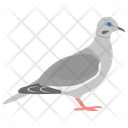 پیش‌نمایش فایل dove-1481625 از پک حیوانات خانگی