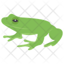پیش‌نمایش فایل frog-1481713 از پک حیوانات خانگی