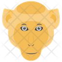 پیش‌نمایش فایل monkey-1481620 از پک حیوانات خانگی