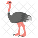 پیش‌نمایش فایل ostrich-1481708 از پک حیوانات خانگی