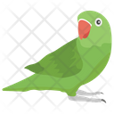پیش‌نمایش فایل parrot-1481715 از پک حیوانات خانگی