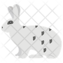 پیش‌نمایش فایل rabbit-1481661 از پک حیوانات خانگی