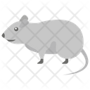 پیش‌نمایش فایل rat-1481680 از پک حیوانات خانگی