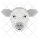 پیش‌نمایش فایل sheep-1481726 از پک حیوانات خانگی
