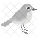پیش‌نمایش فایل sparrow-1481641 از پک حیوانات خانگی