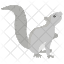 پیش‌نمایش فایل squirrel-1481627 از پک حیوانات خانگی