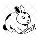 پیش‌نمایش فایل rabbit-11780947 از پک سفر و ماجراجویی