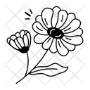 پیش‌نمایش فایل calendula-12410291 از پک گل
