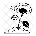 پیش‌نمایش فایل cockscomb-12410297 از پک گل