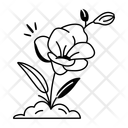 پیش‌نمایش فایل freesia-12410309 از پک گل
