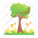پیش‌نمایش فایل forest-fire-12749830 از پک ارتباط با زمین (طب جایگزین)