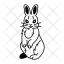 پیش‌نمایش فایل bunny-12714415 از پک خرگوش