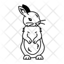 پیش‌نمایش فایل bunny-12714436 از پک خرگوش
