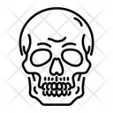 پیش‌نمایش فایل human-skull-13170732 از پک درمان پزشکی