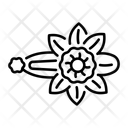 پیش‌نمایش فایل floral-hairpin-13712250 از پک مد