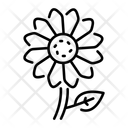 پیش‌نمایش فایل flower-14947470 از پک لندن