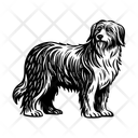 پیش‌نمایش فایل sheepdog-15096776 از پک حیوانات مزرعه قدیمی