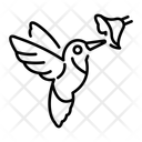 پیش‌نمایش فایل hummingbird-15797908 از پک جنگل بارانی