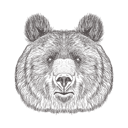 پیش‌نمایش فایل bear-head-1533301 از پک تصاویر وینتیج حیوانات