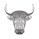 پیش‌نمایش فایل bison-1533299 از پک تصاویر وینتیج حیوانات