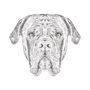 پیش‌نمایش فایل bulldog-1533297 از پک تصاویر وینتیج حیوانات