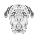 پیش‌نمایش فایل bulldog-1533302 از پک تصاویر وینتیج حیوانات