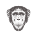 پیش‌نمایش فایل chimpanzee-1533294 از پک تصاویر وینتیج حیوانات