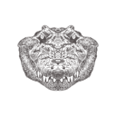 پیش‌نمایش فایل crocodile-1533291 از پک تصاویر وینتیج حیوانات