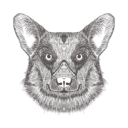 پیش‌نمایش فایل dog-1533290 از پک تصاویر وینتیج حیوانات