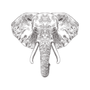 پیش‌نمایش فایل elephant-face-1533288 از پک تصاویر وینتیج حیوانات