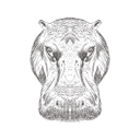 پیش‌نمایش فایل hippopotamus-head-1533281 از پک تصاویر وینتیج حیوانات