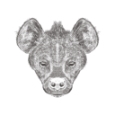 پیش‌نمایش فایل hyena-1533279 از پک تصاویر وینتیج حیوانات