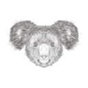 پیش‌نمایش فایل koala-1533277 از پک تصاویر وینتیج حیوانات
