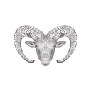 پیش‌نمایش فایل muflon-1533270 از پک تصاویر وینتیج حیوانات