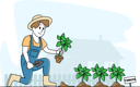 پیش‌نمایش فایل farmer-planting-tomato-sprouts-into-the-ground-4664441 از پک صنعت و تولید
