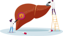 پیش‌نمایش فایل doctor-look-in-electronic-microscope-and-magnifier-on-huge-diseased-liver-4704794 از پک سلامت و پزشکی