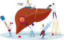 پیش‌نمایش فایل medical-diagnosis-hepatitis-b-and-cirrhosis-4704793 از پک سلامت و پزشکی