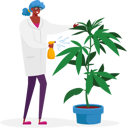 پیش‌نمایش فایل scientist-care-of-hemp-plant-4704805 از پک سلامت و پزشکی
